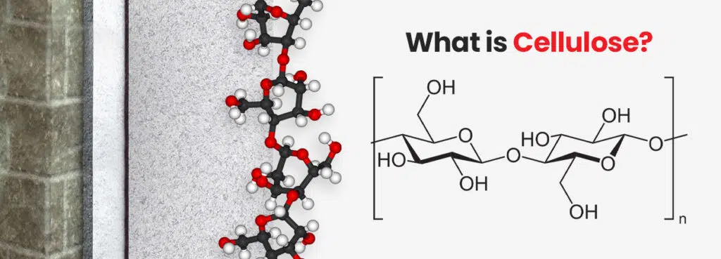 What is Cellulose